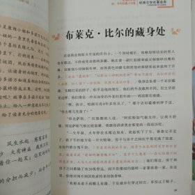 麦琪的礼物 欧.亨利短篇小说集（新课标经典文学名著金库名师精评版！名校班主任、语文老师推荐必读书目！）欧·亨利；闫仲渝天地出版社