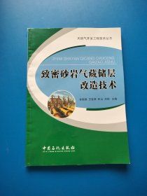 致密砂岩气藏储层改造技术