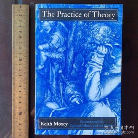 The practice of theory poststructuralism cultural politics and art history 英文原版