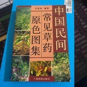 中国民间常见草药原色图集