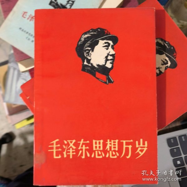 毛泽东思想万岁（学习毛主席诗词）&