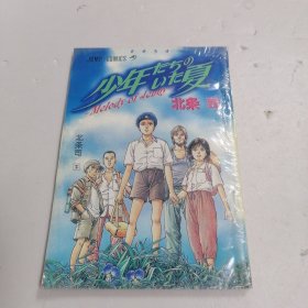 少年的夏 下