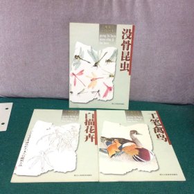 工笔花鸟初级临本：没骨昆虫、工笔禽鸟、白描花卉（三册合售）