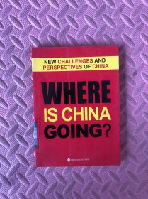 挑战与展望：著名学者聚焦中国热点话题