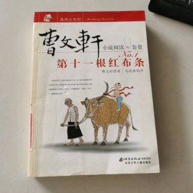 曹文轩小说阅读与鉴赏NO.1：第十一根红布条