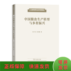 中国粮食生产转型与乡村振兴(土地利用与乡村转型)