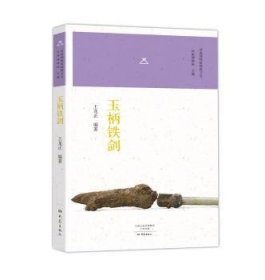 正版现货玉柄铁剑王龙正9787534788956大象出版社有限公司新华仓库多仓直发