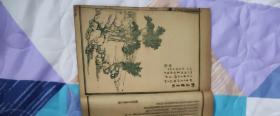 名家吕湛恩详注聊斋志异图咏（天宝书局印版样）（也可单本配套出售，单本200）