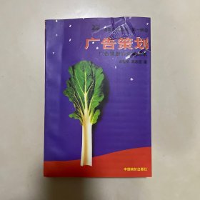 广告策划：广告策划的全新范本