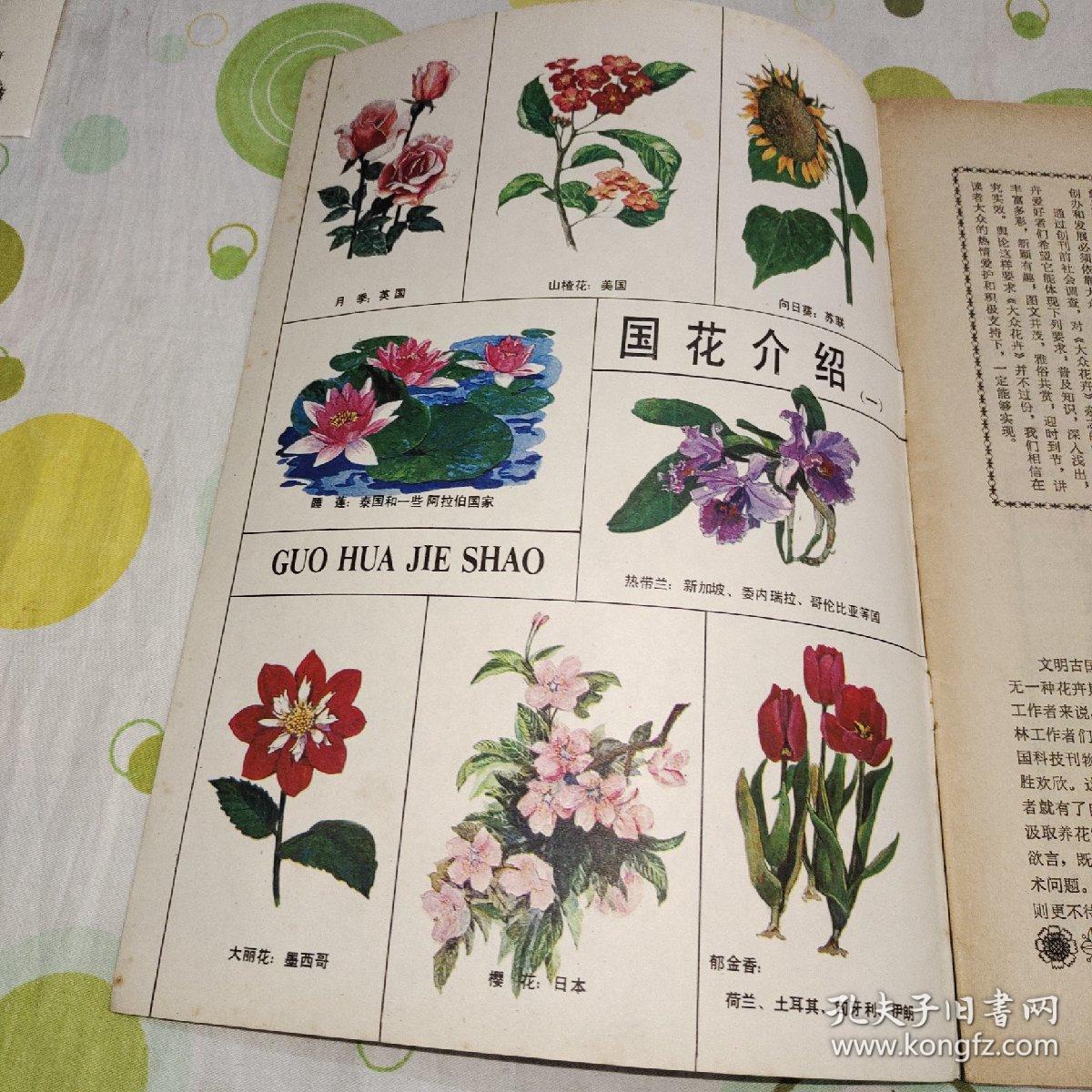 大众花卉1982年创刊号