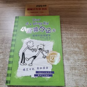 小屁孩日记4：偷鸡不成蚀把米