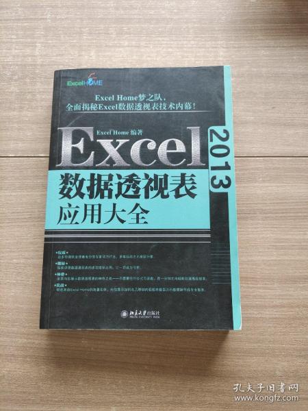 Excel 2013数据透视表应用大全