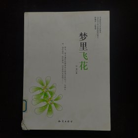 中国新实力作家精选-梦里飞花