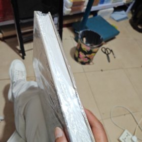 柬埔寨吴哥古迹茶胶寺考古报告