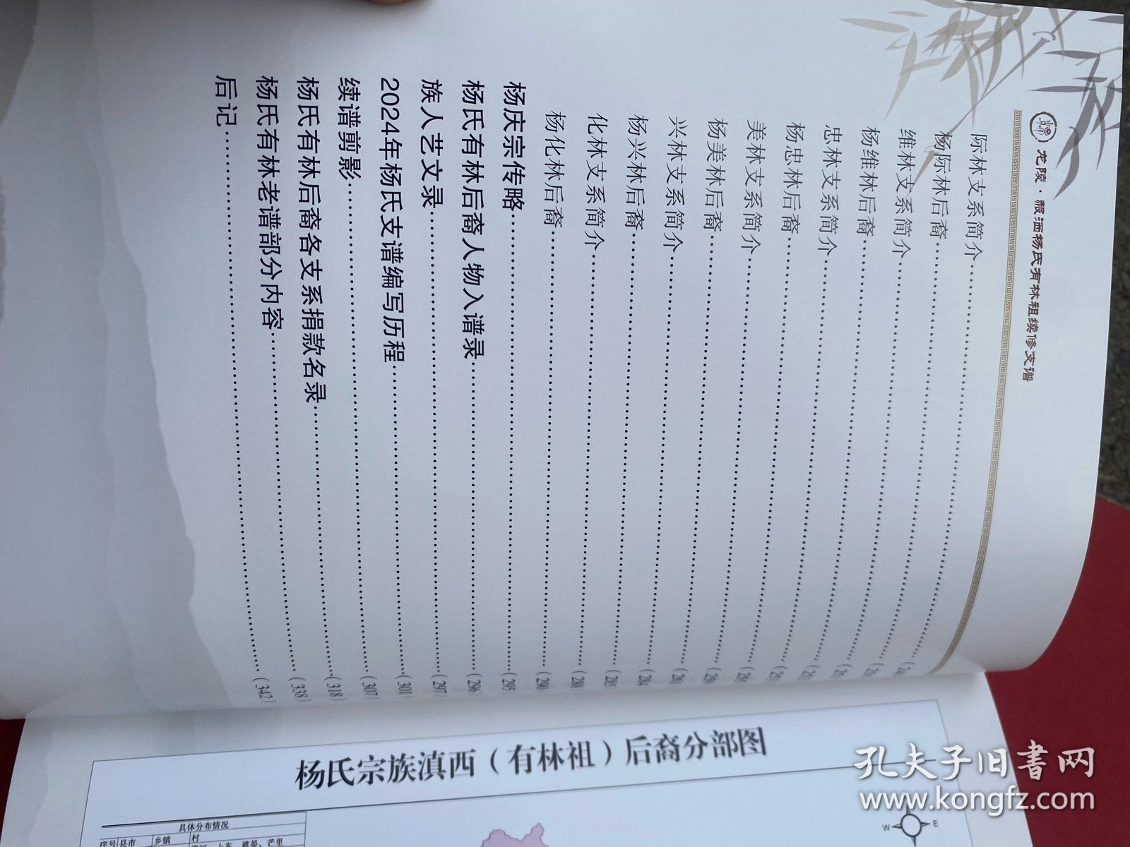 龙陵·赧洒杨氏有林祖续修支谱 杨氏支谱 大16开精装