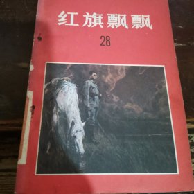 红旗飘飘 >28