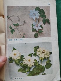 花卉图册（40张一一80页）外文