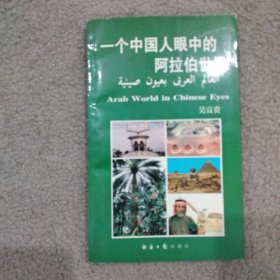 一个中国人眼中的阿拉伯世界