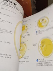 dk图解科学技术与工程DK儿童STEM创新思维培养图解科学dk图书dk图解科学小学思维训练