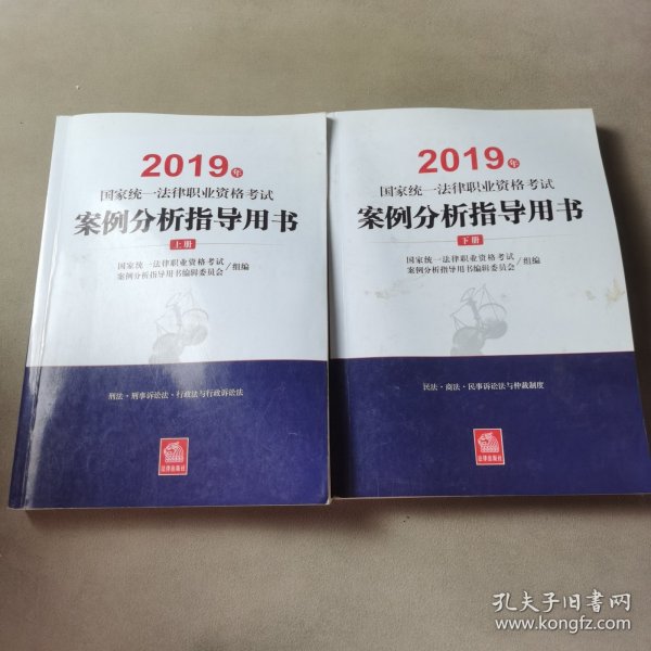 司法考试2019 2019年国家统一法律职业资格考试案例分析指导用书（全2册）