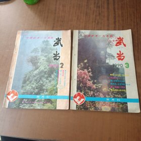 武当 1990年2.3期