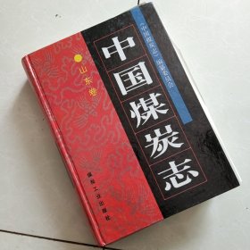 中国煤炭志.山东卷