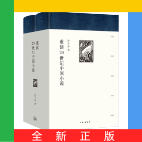 重读20世纪中国小说(共2册)(精)