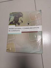 Intercultural Communication in Contexts