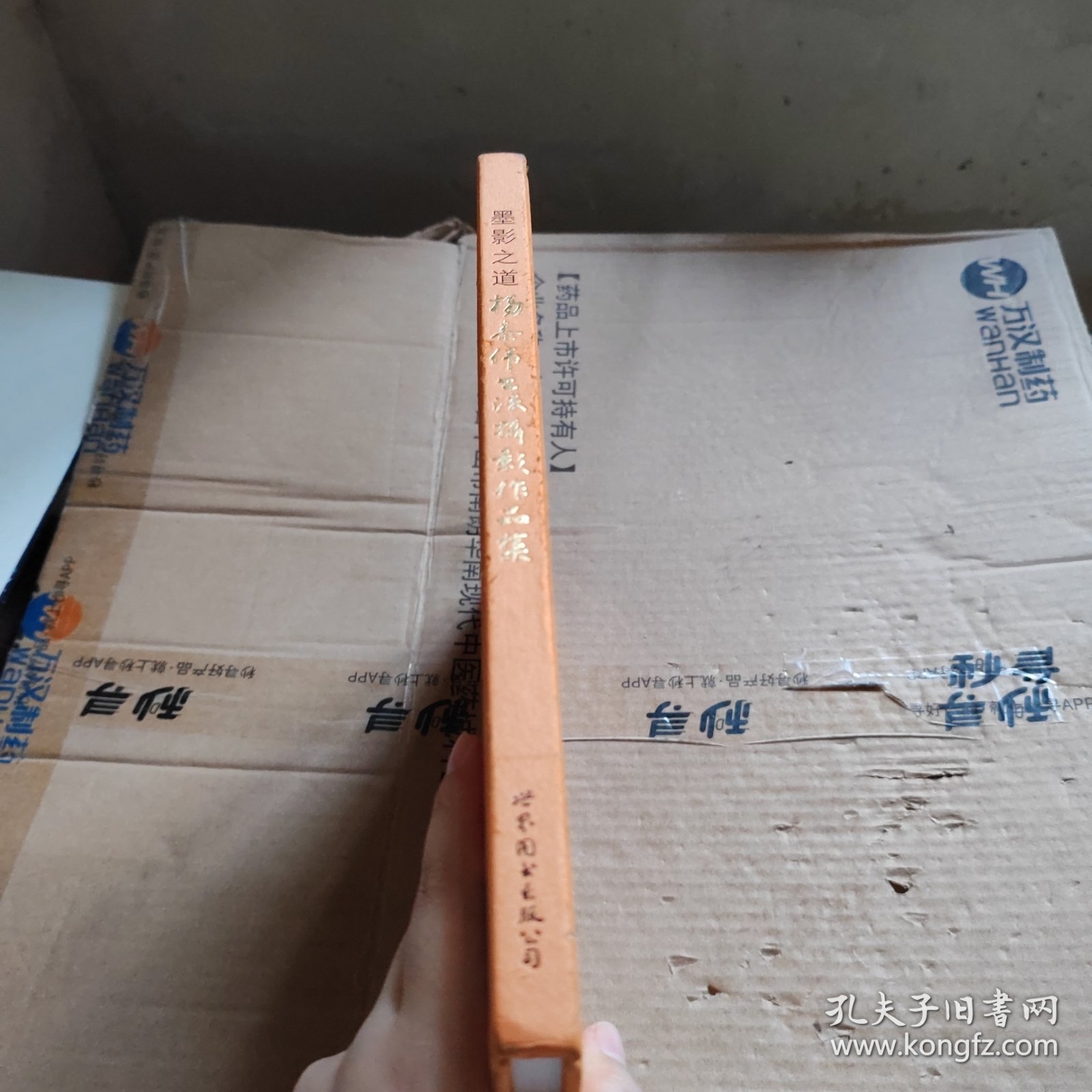 点击查看原图 墨影之道:杨泰伟书法摄影作品集(亲签版)