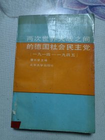 两次世界大战之间的德国社会民主党（1914-1945）