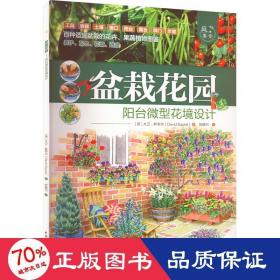 盆栽花园——阳台微型花境设计（庭要素）