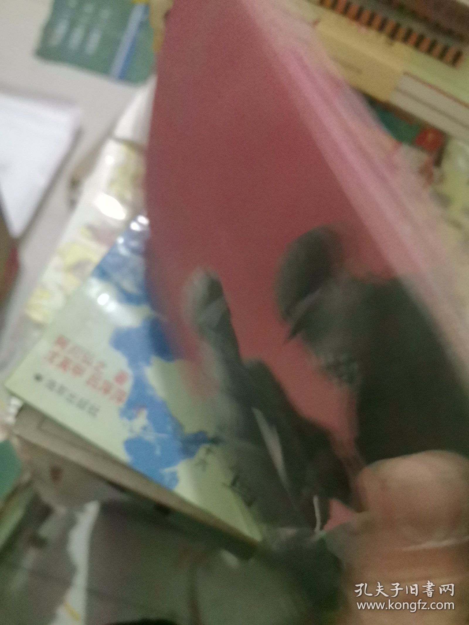 从毛泽东到邓小平