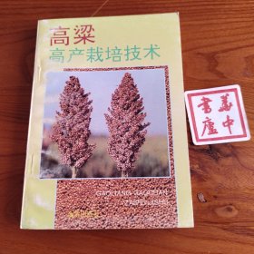 高粱高产栽培技术