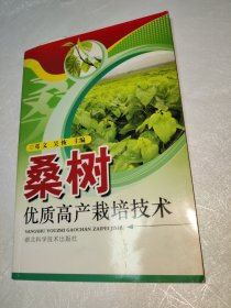 桑树优质高产栽培技术