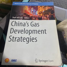 China's Gas Development Strategies