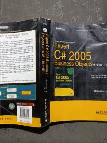 Expert C# 2005 Business Objects中文版