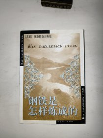 钢铁是怎样炼成的