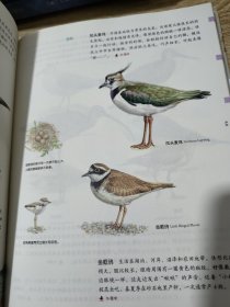 给孩子的自然图鉴：动物图鉴