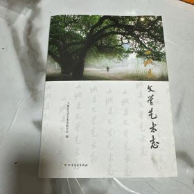大城县文学艺术志