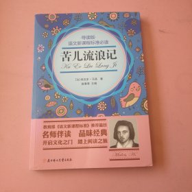 苦儿流浪记（导读版）/语文新课程标准必读