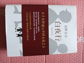 白夜行【精装】