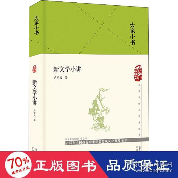 大家小书  新文学小讲（精）