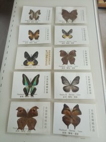 东南亚蝴蝶珍品（标本）10个
