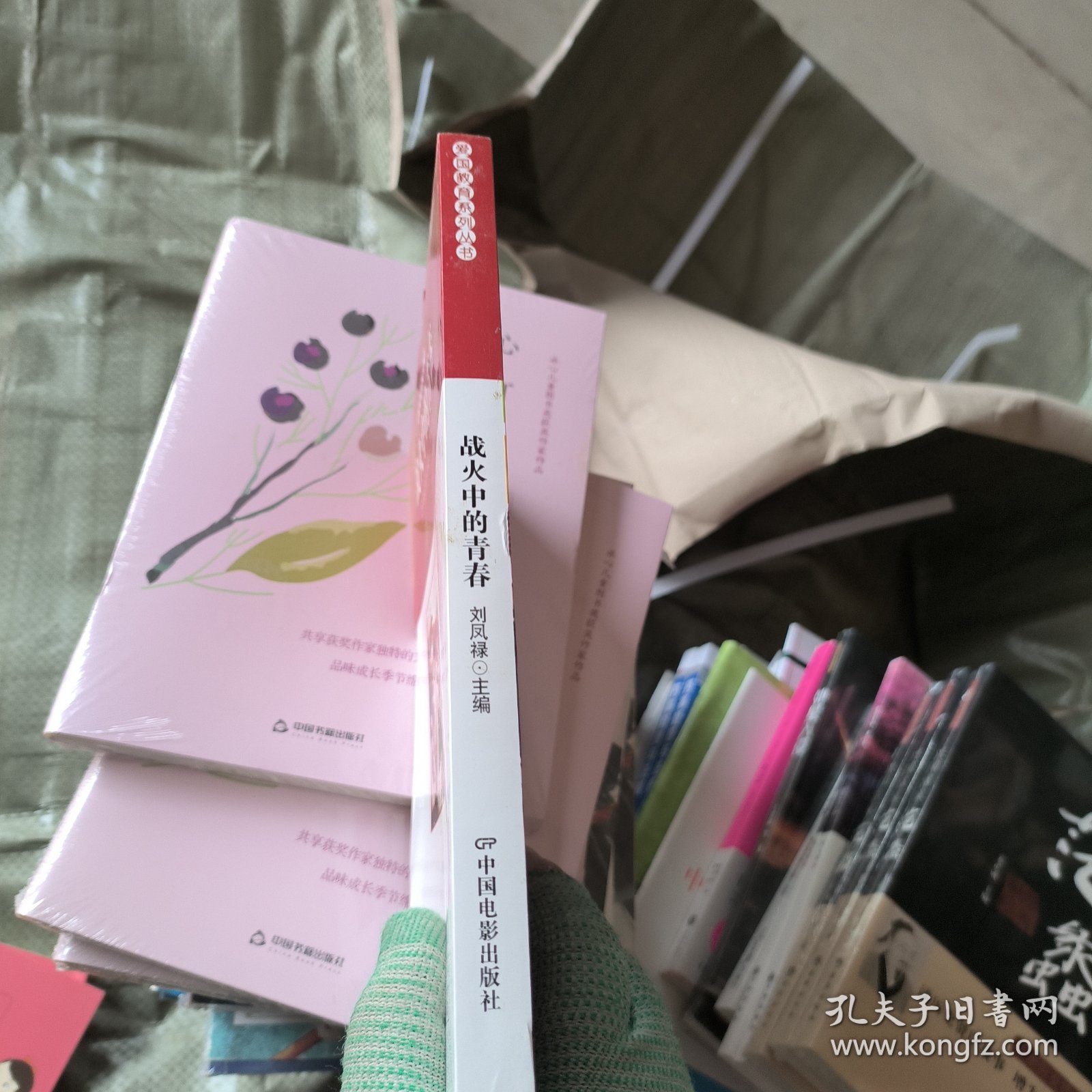 战火中的青春
