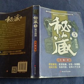 秘藏5：渡尽劫波