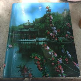 八九十年代彩色怀旧照片一册，70多张。淄博市周村区丝绸路办事处。