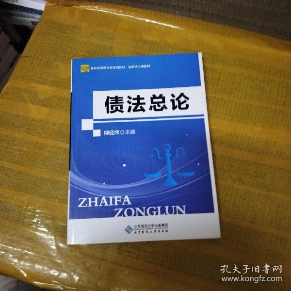 债法总论/新世纪高等学校规划教材·法学核心课系列