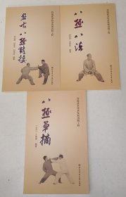 八极单摘 八极八法 盘古八极对接 （三册）
