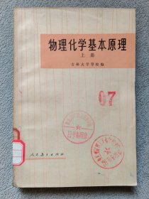 物理化学基本原理（上册）