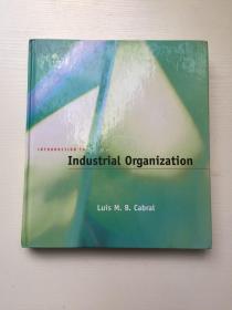 Introduction to Industrial Organization